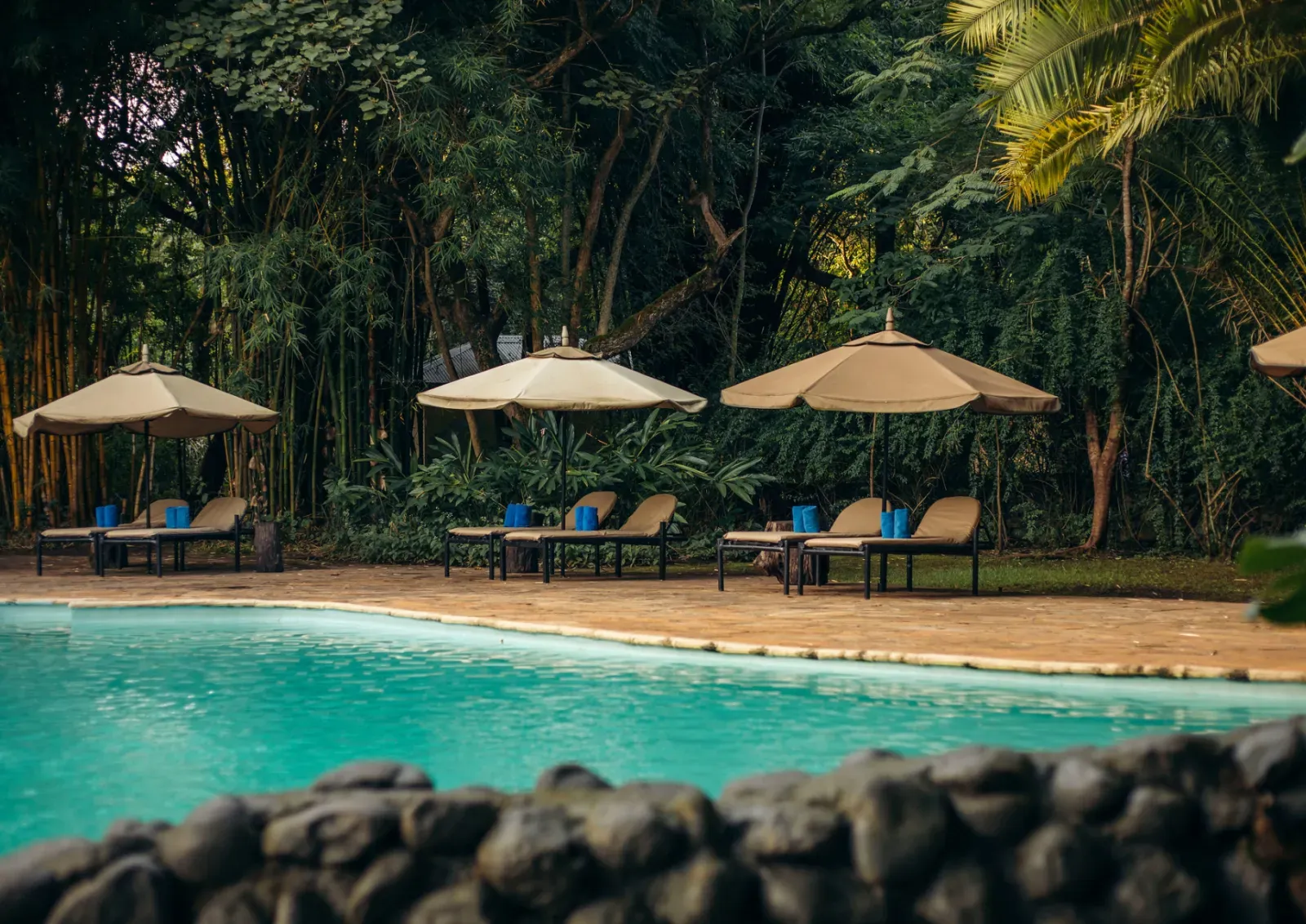 Swimming pool in the garden at Moivaro Lodge
