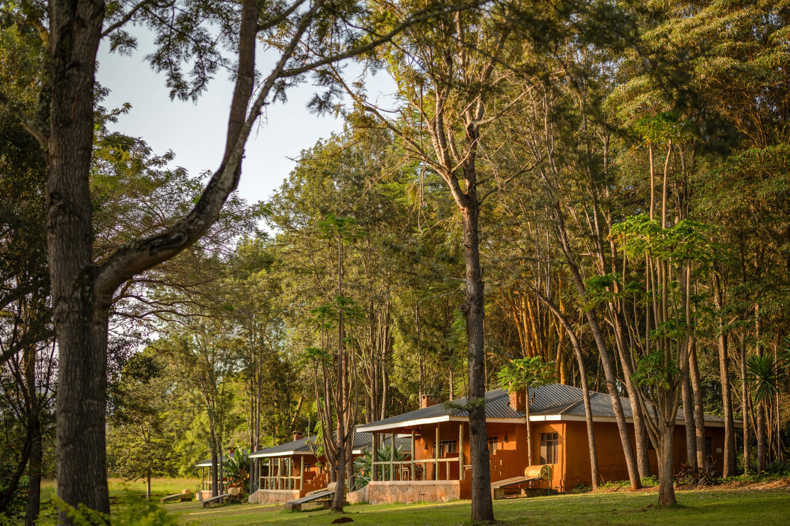 Ngorongoro Farm House