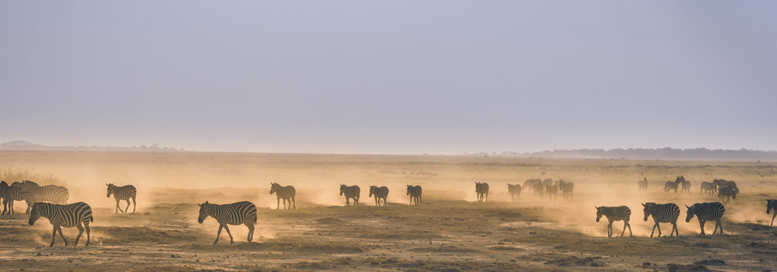 Lomo Tanzania Safari -Serengeti Great Migration