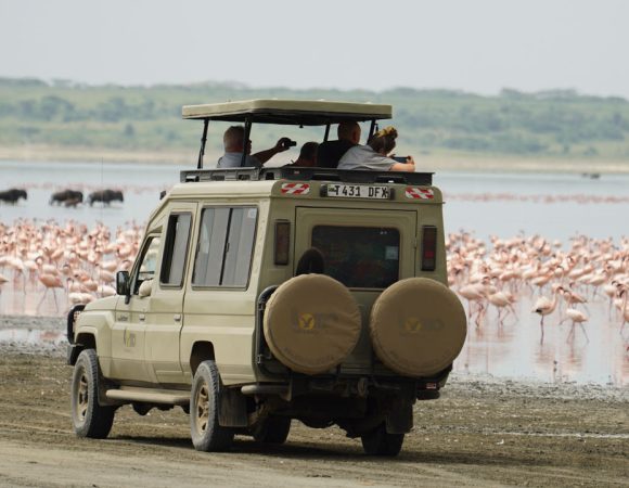 THE GREAT MIGRATION IN NDUTU / FLAMINGOS